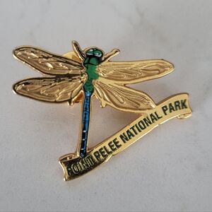 Gold-tone enamel dragonfly lapel pin or badge souvenir.